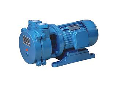 LEMB/LEMA vacuum pump